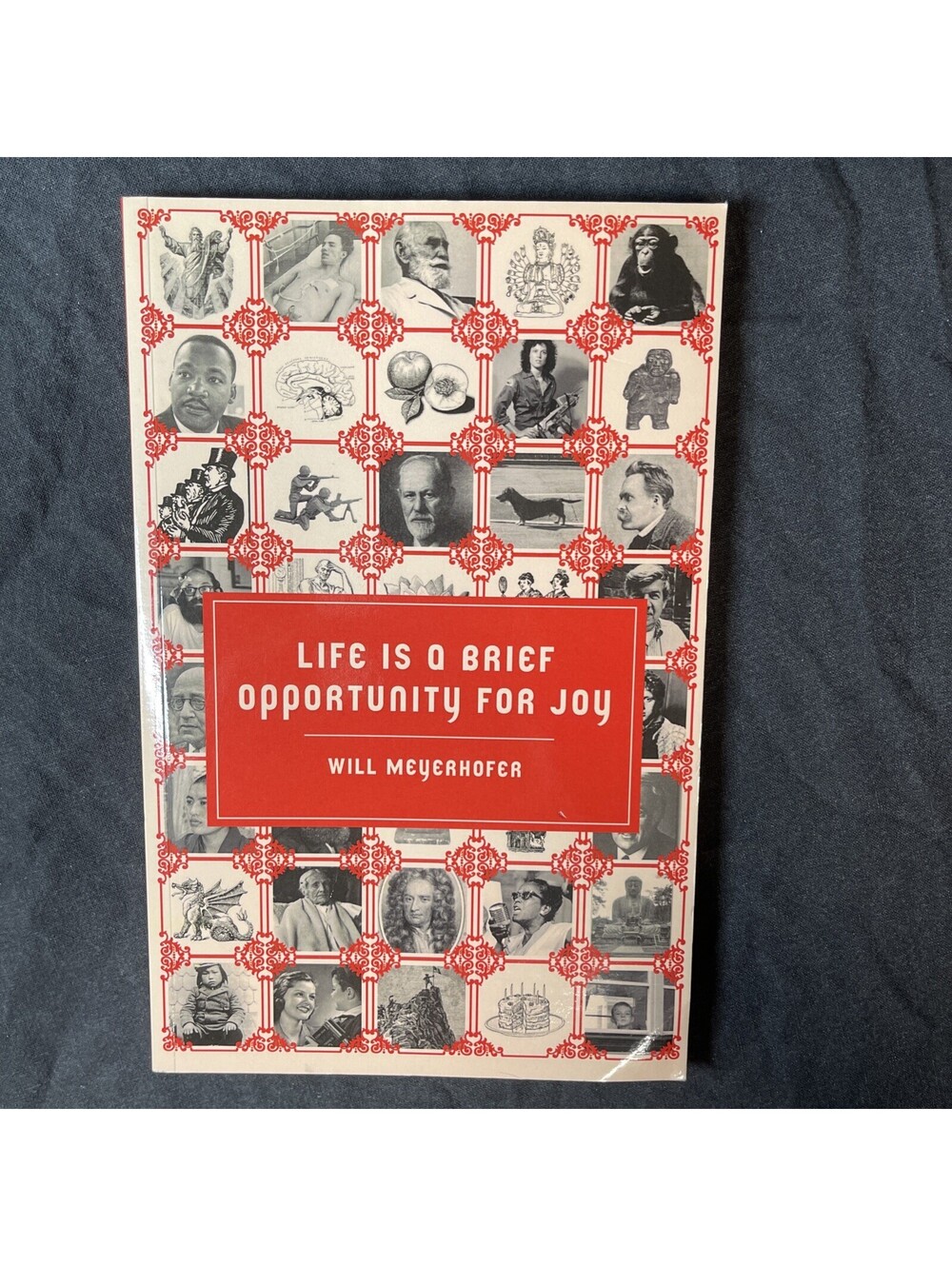 Will Meyerhofer Life is a Brief Opportunity for Joy (Paperback)